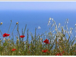 Appartamento Prožura  18