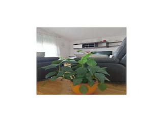 Apartamento Bibinje  26