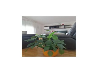 Appartement Bibinje  29