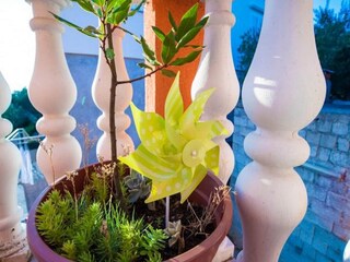 Appartamento Bibinje  33