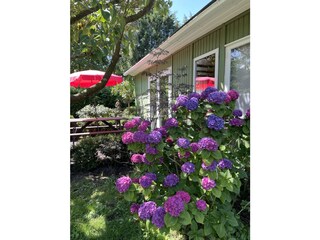 Holiday house Renesse Outdoor Recording 3