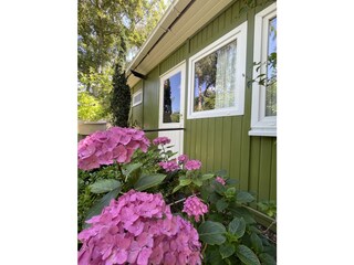 Holiday house Renesse Outdoor Recording 2