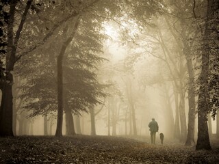 Appartamento per vacanze Groet Ambiente 14