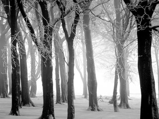 Appartamento per vacanze Groet Ambiente 15