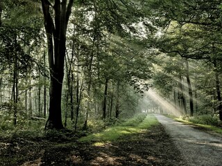 Appartamento per vacanze Groet Ambiente 16