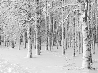 Appartamento per vacanze Groet Ambiente 17