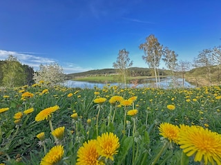 Ferienhaus Neunburg vorm Wald Außenaufnahme 5