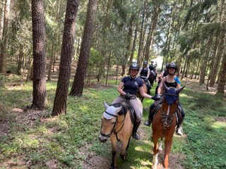 Casa de vacaciones Neunburg vorm Wald Entorno 27