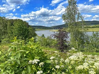 Casa de vacaciones Neunburg vorm Wald Entorno 24