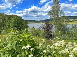 Casa de vacaciones Neunburg vorm Wald Entorno 25
