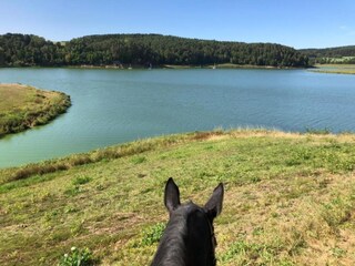 Casa per le vacanze Neunburg vorm Wald Ambiente 32