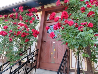 Herzlich willkommen!