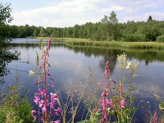 Naturschutzgebiet Rotes Moor