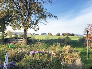 Blick auf die Wiese hinter dem Garten