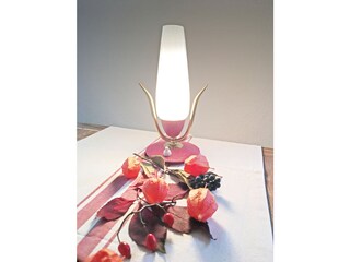 Casa per le vacanze Bertsdorf-Hörnitz Caratteristiche 23