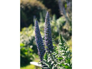 Apartamento de vacaciones Perros-Guirec Grabación al aire libre 7