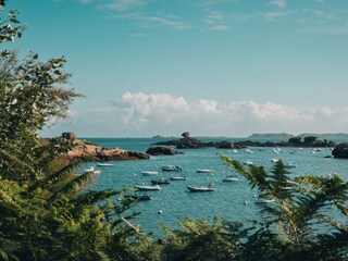 Vakantieappartement Perros-Guirec Omgeving 22