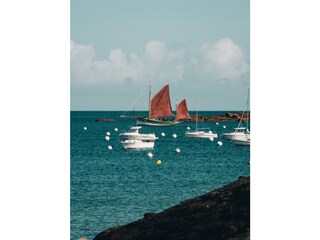 Vakantieappartement Perros-Guirec Omgeving 23