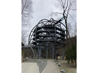 Baumwipfelpfad in Bad Harzburg