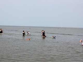 Ferienwohnung Dorum-Neufeld Umgebung 15