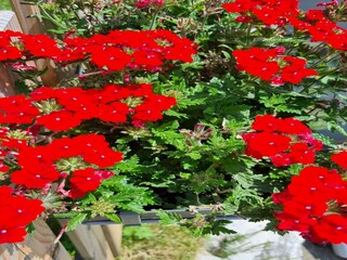 Appartement Wagrain  28