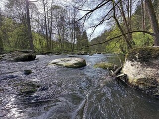 Vakantiehuis Neunburg vorm Wald Omgeving 27