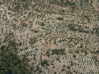 Casa per le vacanze Vela Luka  40