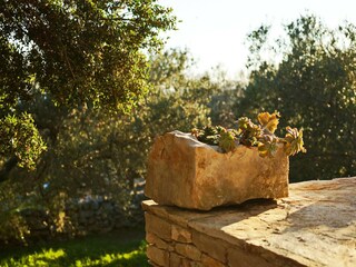 Casa per le vacanze Vela Luka Registrazione all'aperto 12