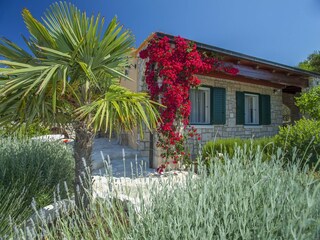 Maison de vacances Vela Luka Enregistrement extérieur 10
