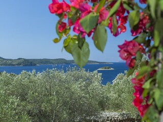 Maison de vacances Vela Luka  49