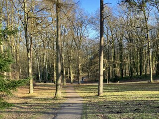 Barnstorfer Wald  (Park)