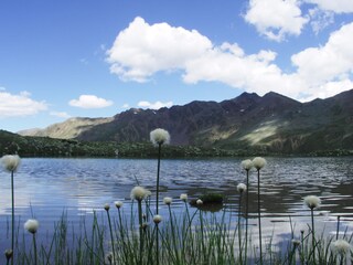 Appartamento per vacanze Graun Ambiente 15