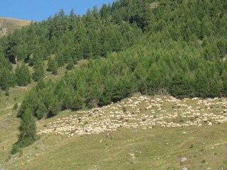 Appartamento per vacanze Graun Ambiente 17