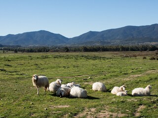 Paesaggio della campagna