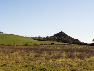 Paesaggio  della campagna