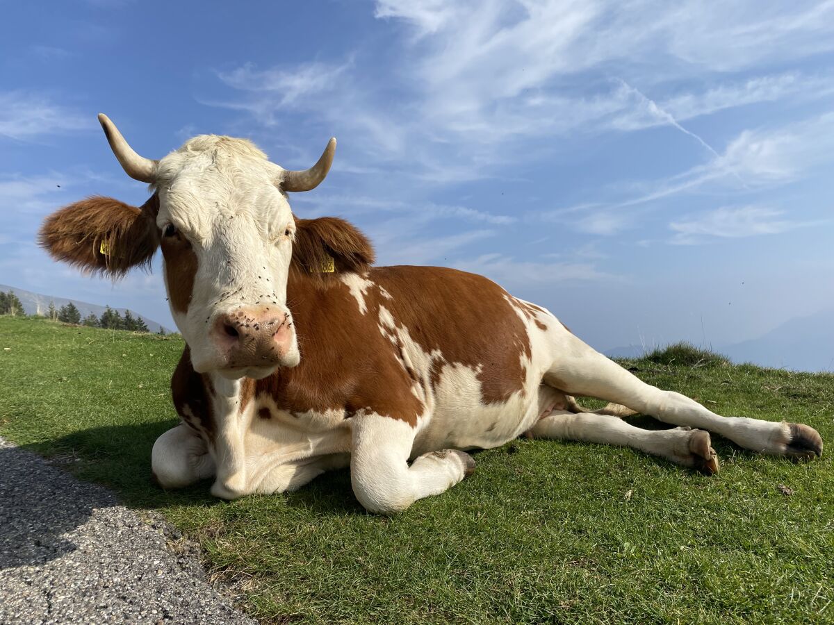 Natur- und Tierbegegnungen