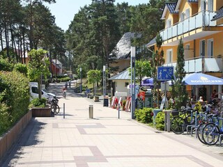 Ferienhaus Trassenheide Außenaufnahme 4