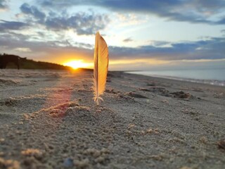 Casa de vacaciones Trassenheide Entorno 18