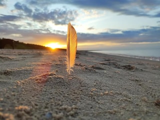 Maison de vacances Trassenheide Environnement 16