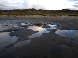 Casa de vacaciones Trassenheide Entorno 17