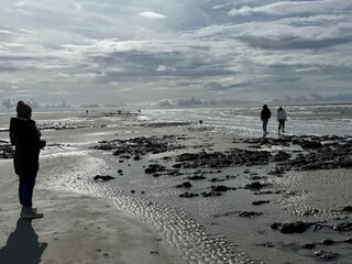 Vakantiehuis Trassenheide Omgeving 25