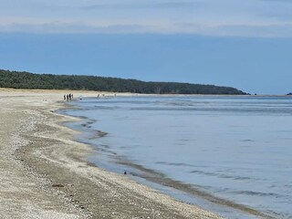 Ferienhaus Trassenheide Umgebung 26