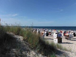 Casa per le vacanze Trassenheide Ambiente 31