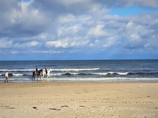 Casa per le vacanze Trassenheide Ambiente 31