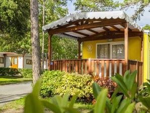 Ferienpark Caravanpark Gasparina, Castelnuovo del Garda - Mattarena - image1