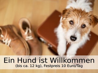 Casa per le vacanze Tinjan Registrazione all'aperto 13