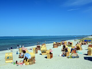 Wenige Schritte zum Ostseestrand