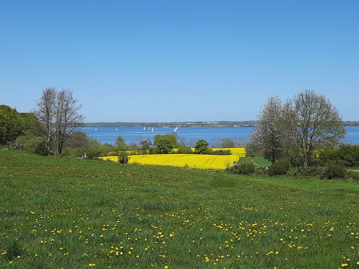 Ausblick nahe des Grundstückes