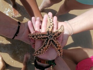 Apartamento de vacaciones Sagres Entorno 35