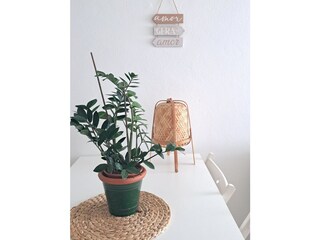 Apartamento de vacaciones Sagres Características 12